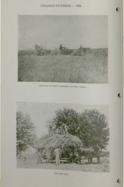 Chiloccan-1926_Page_12_Image_0001
