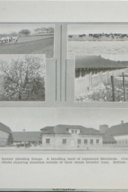 Chiloccan-1935_Page_35_Image_0001