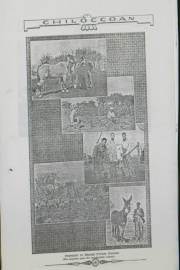 Chiloccan_1936_Page_24_Image_0001_603